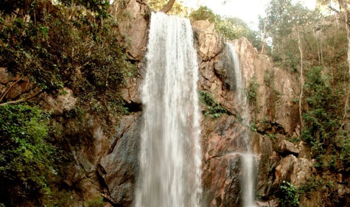 tororó-Viaje-com-a-Mix