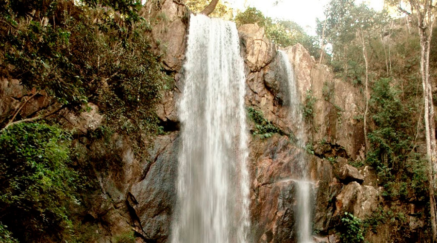 tororó-Viaje-com-a-Mix