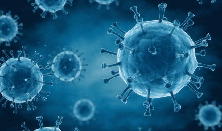virus