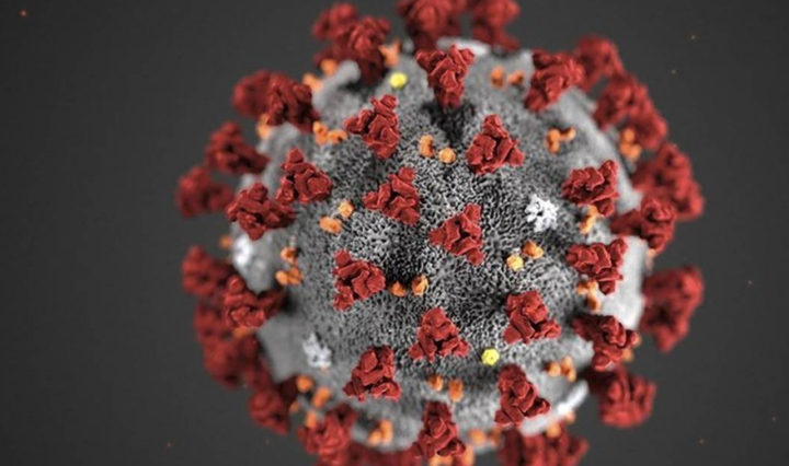 coronavirus