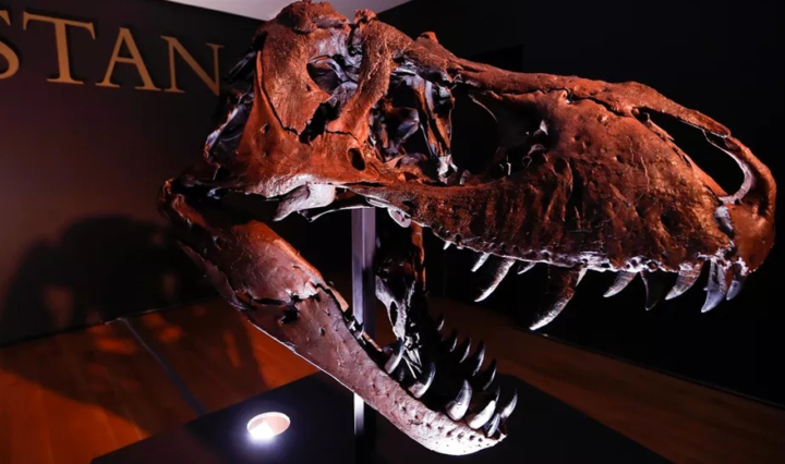 dino