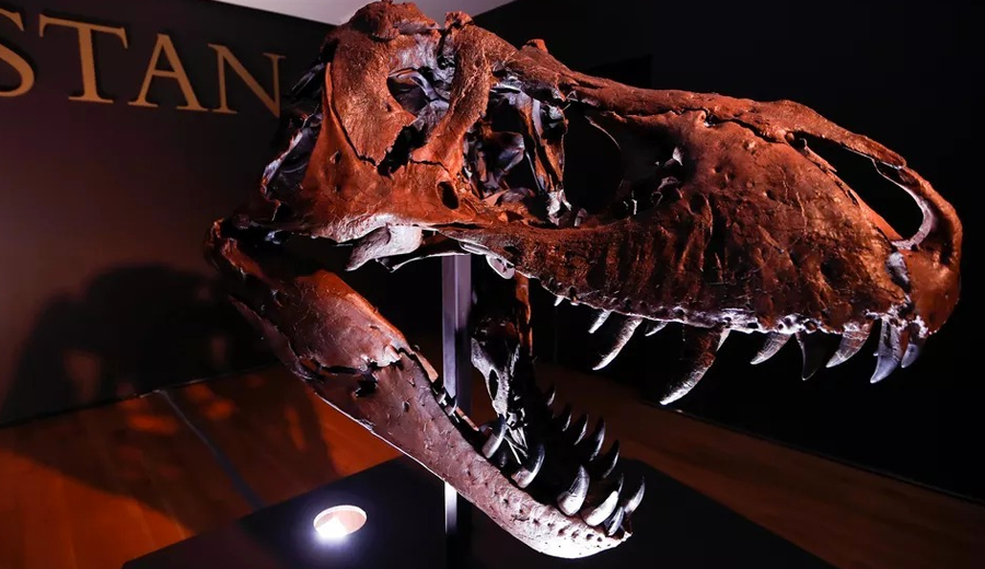 dino
