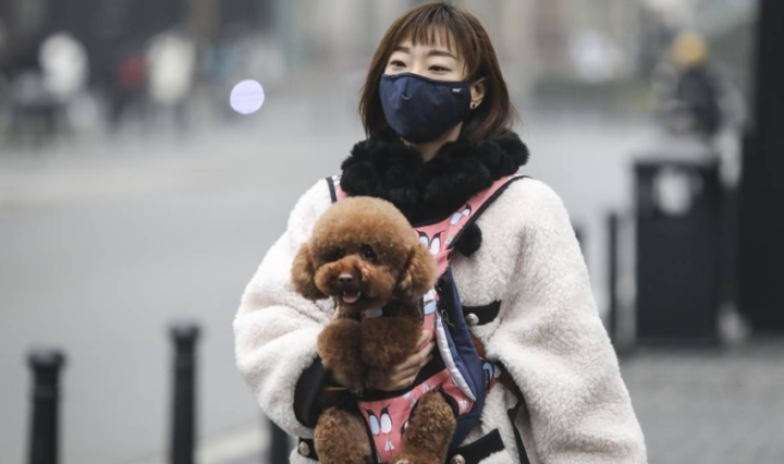 10-vacinas-contra-o-coronavirus-sendo-testadas-em-seres-humanos-768x444