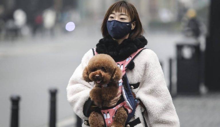 10-vacinas-contra-o-coronavirus-sendo-testadas-em-seres-humanos-768x444