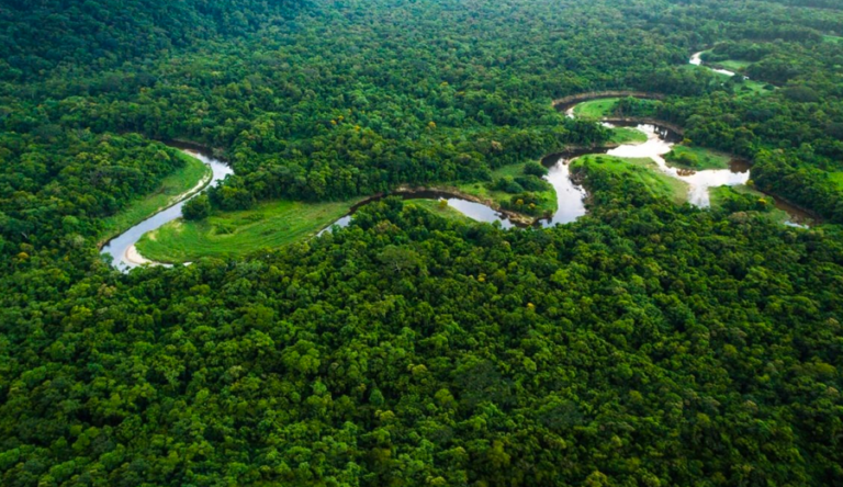estrada-na-Amazonia-do-Acre-a-fronteira-com-o-Peru-768x444