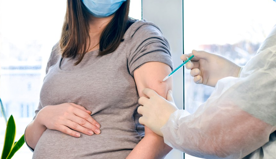 Pfizer-comeca-a-testar-vacina-em-mulheres-gravidas-no-Brasil