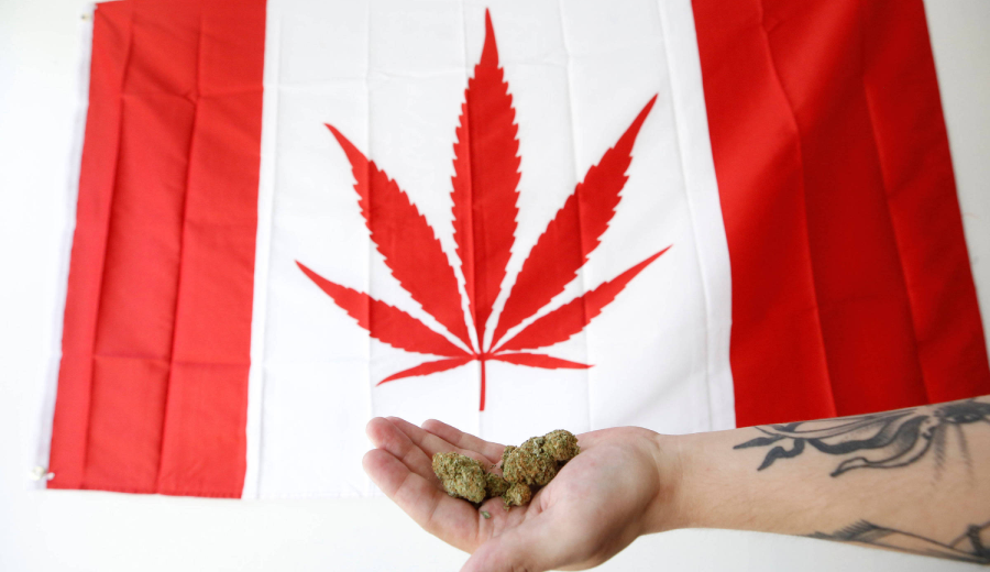 Canadenses-agora-podem-pedir-maconha-por-aplicativos-de-entrega