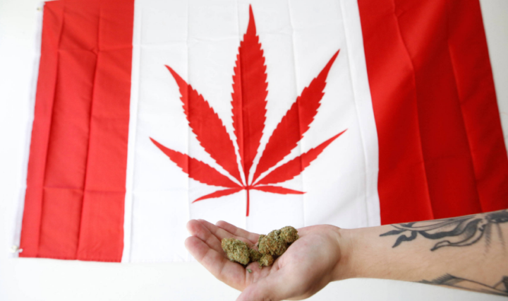 Canadenses-agora-podem-pedir-maconha-por-aplicativos-de-entrega