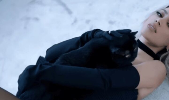 Mulher-Gato-Com-visual-felino-Anitta-lanca-clipe-da-musica-Gata