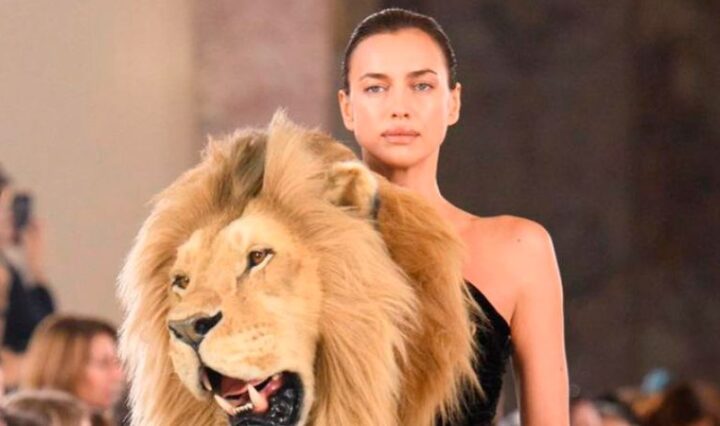 modelos-usam-cabeca-de-animais-em-desfile-de-moda