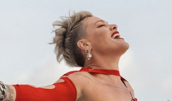 pink-divulga-novo-single
