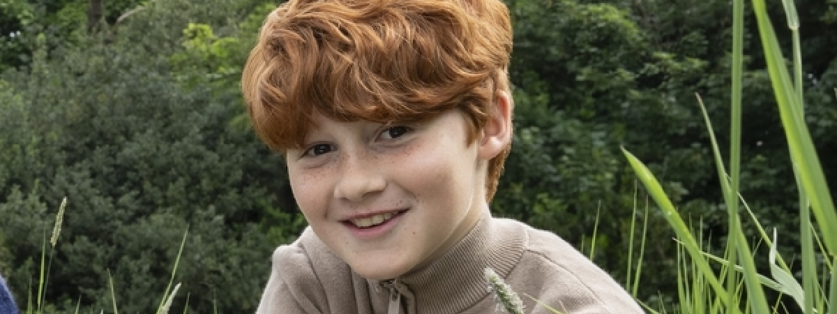 ron-harry-potter